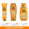 Garnier Ultra The Marvelous Shampoo With Argan And Camelia Oil 700 ml