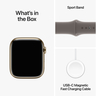 Apple Watch Series 9 GPS + Cellular, Gold Stainless Steel Case with Clay Sport Band, 45 mm, Small, MRMR3
