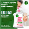 Dettol Anti-Bacterial Hand Wash Skin Care Value Pack 2 x 200 ml