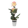 Maple Leaf Plant With Pot LM-22-S91 Assorted Colors
