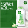 Dettol Soothe Shower Gel & Bodywash Aloe Vera & Apple Fragrance 250 ml
