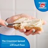 Al Ain Farms Cream Cheese Value Pack 3 x 240 g