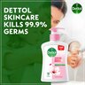 Dettol Skincare Antibacterial Hand Wash 2 x 250 ml
