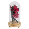 Maple Leaf Flower in Glass Dome 6693-2 Assorted