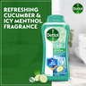 Dettol Hydra Cool Body Wash Cucumber & Icy Menthol Fragrance Value Pack 2 x 250 ml