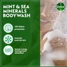 Dettol Antibacterial Bodywash Cool Value Pack 2 x 250 ml