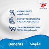 Al Ain Farms Cream Cheese 500 g