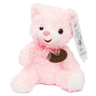 Fabiola Teddy Bear Plush With Heart 20cm YCF22056 Assorted