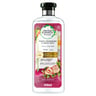 Herbal Essences Bio: Renew Clean White Strawberry & Sweet Mint Shampoo 400 ml