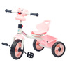 Skid Fusion Childrens Tricycle 2240024-6P Assorted