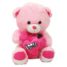 Fabiola Teddy Bear Plush With Heart 50cm J3001-3 Assorted