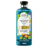 Herbal Essences Bio:Renew Repair Argan Oil of Morocco Shampoo 400ml