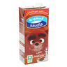 Saudia Milk Chocolate 6 x 1 Litre