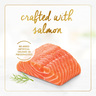 Purina Fancy Feast Gravy Lovers Salmon Feast In Seared Salmon Flavour Gravy Cat Food 85 g
