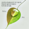 Herbal Essences Bio: Renew Volume Arabica Coffee Fruit Shampoo 400 ml