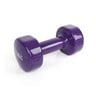 Sports Champion Dumbbell Weight, 5 Kg, Violet, DF-089