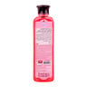 Bearing Dog Groomer's Choice Conditioning Shampoo, Fuji Apple, 365 ml