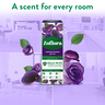 Zoflora Midnight Blooms Concentrated Multipurpose Disinfectant 250 ml