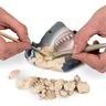 National Geographic Shark Tooth Dig Kit, RTNGSHAR