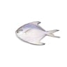 Bawal Putih(White Pomfret)1 Kg Approx Weight