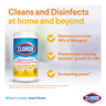 Clorox Disinfecting Wet Wipes Crisp Lemon 75 pcs