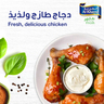 Al Khazna Fresh Chicken Drumsticks Skinless 400 g