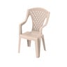 Cosmoplast Queen Outdoor Garden Chair IFOFAC007 Assorted Color