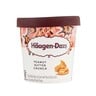 Haagen-Dazs Peanut Butter Crunch Ice Cream 460 ml