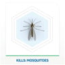 Raid Electric Mosquito Diffuser with Refill 30 Nights