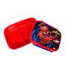 Spiderman Lunch Box