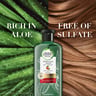 Herbal Essences Color Protect Sulfate Free Potent Aloe Vera + Mango Natural Shampoo for Dry Hair 400 ml