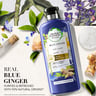 Herbal Essences Bio: Renew Purify Blue Ginger Conditioner, 400 ml