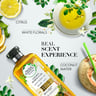 Herbal Essences Bio: Renew Smooth Golden Moringa Oil Shampoo 400 ml