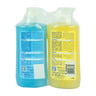 Cool & Cool Exotic Bloom & Divine Essence Anti-Bacterial Hand Wash 2 x 500 ml