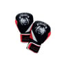 Sports Boxing Gloves HJ-G123