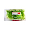 Lushious Romaine 150g Approx Weight