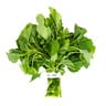 Premium Green Spinach (Green Cheera), 1 Bunch