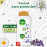 Dettol Activ-Botany Antibacterial Bodywash Lavender & Chamomile Fragrance 250 ml