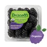 Driscoll's Organic Blackberry 170 g