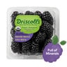 Driscoll's Organic Blackberry 170 g