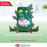 Clorox Scentiva Multipurpose Disinfectant Cleaner With Pine Scent 3 Litres + 1.5 Litres