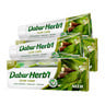 Dabur Herbal Neem Toothpaste with Neem Extract Value Pack 2 x 150 g