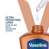 Vaseline Intensive Care Cocoa Radiant Body Lotion 400 ml + 200 ml