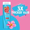 Sunsilk Thick & Long With Biotin & Castor Oil Shampoo 400 ml + Conditioner 320 ml