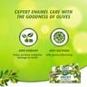 Dabur Herbal Expert Enamel Care Olive Toothpaste 150 g + Toothbrush