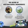 Dabur Herbal Blackseed Complete Care Toothpaste 150 g + Toothbrush