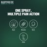Biofreeze Pain Relief Spray 118 ml