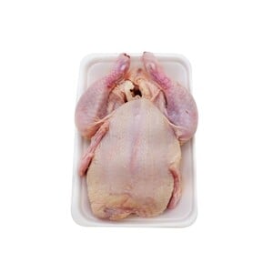 Ayam Broiler Beku 800-900g
