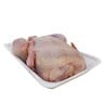 Chicken Broiler Frozen 800-900g