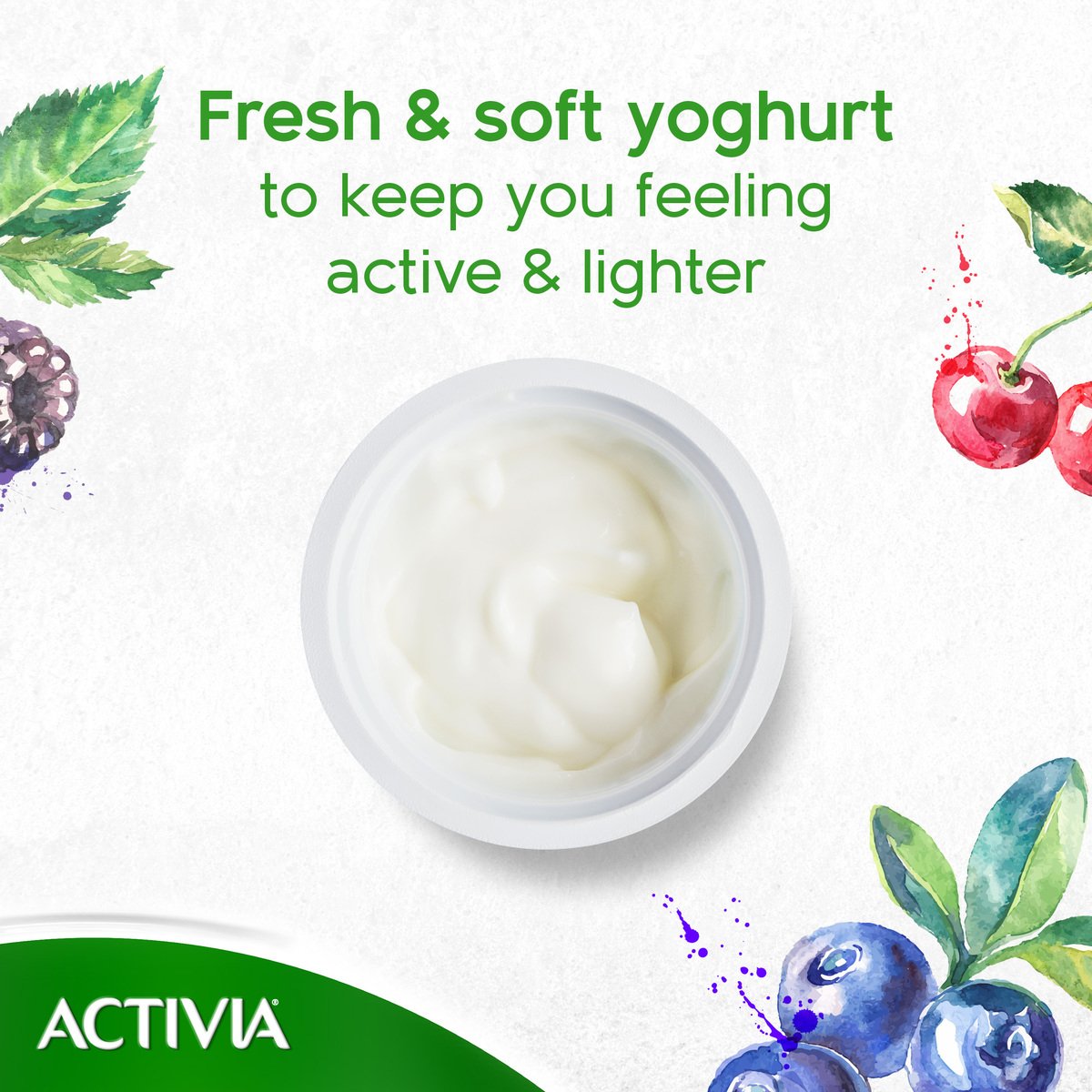 Activia Set Yoghurt Low Fat 6 x 150 g